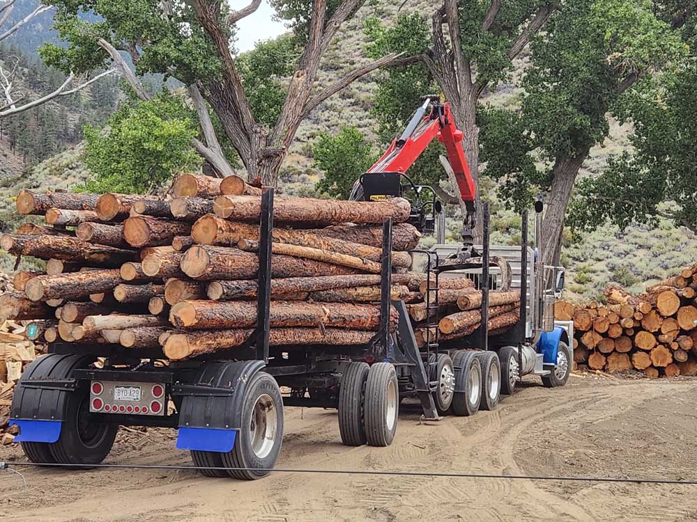 vmwest firewood