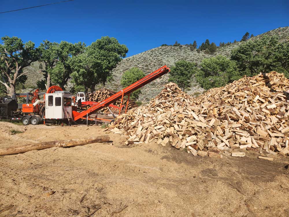 vmwest firewood two