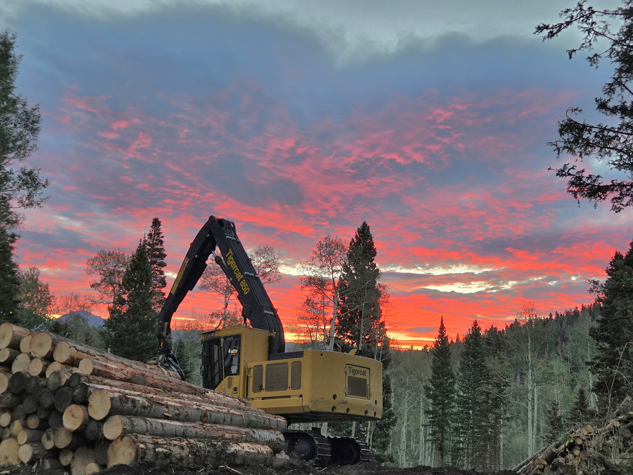 Shorter days. Cooler air. Skies worth pausing for. 🍂🍁At VM West, the changing seasons are a reminder of why our work matters: supporting healthier forests, resilient landscapes, and the land’s future.Here’s to our crews working through the changing conditions and taking a moment to appreciate the view. A special thanks to Hunter Hite for sharing his photo. 📸#VMWest #LandStewardship #ForestHealth #ChangingSeasons #VegetationManagement